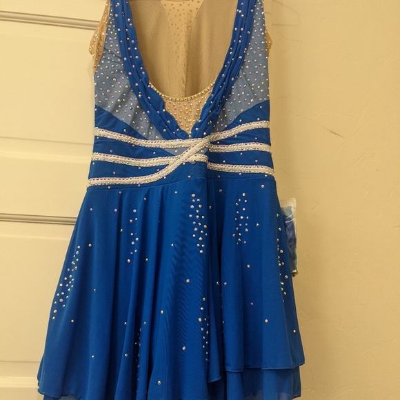 Beautiful Ice Dance/Skating Dress in Women's Size Small - Picture 3 of 3